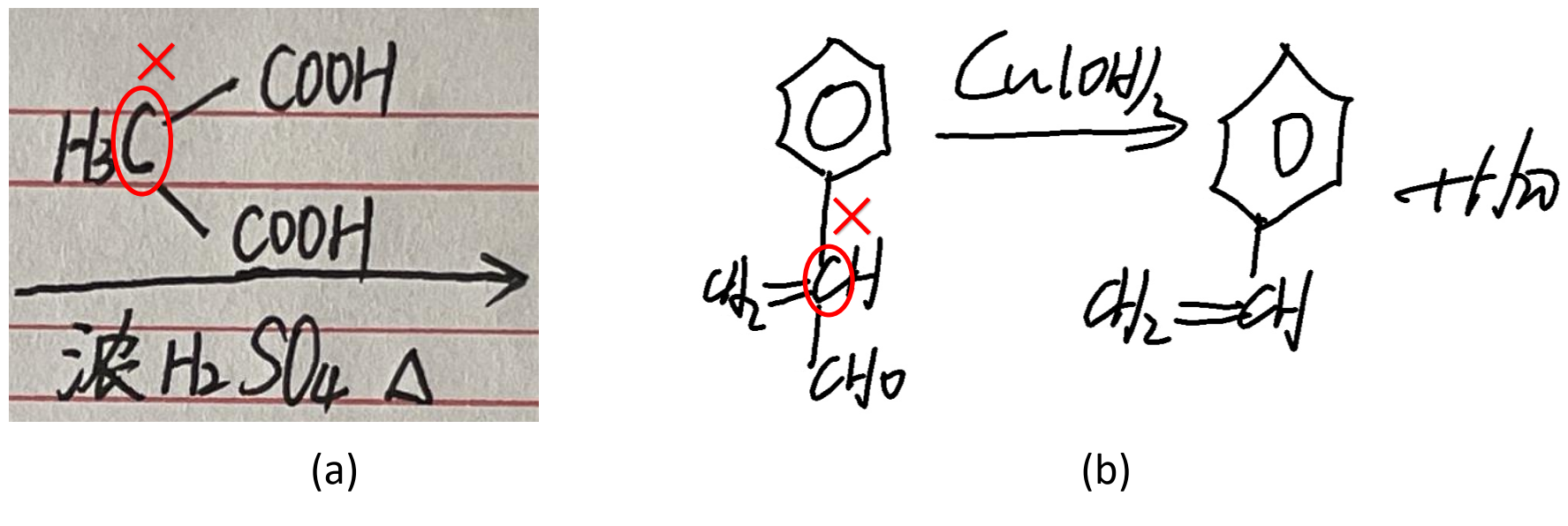 Schematic Diagram